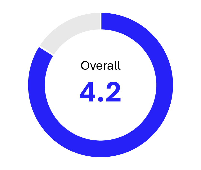 Overall score of the Appian BPM solution