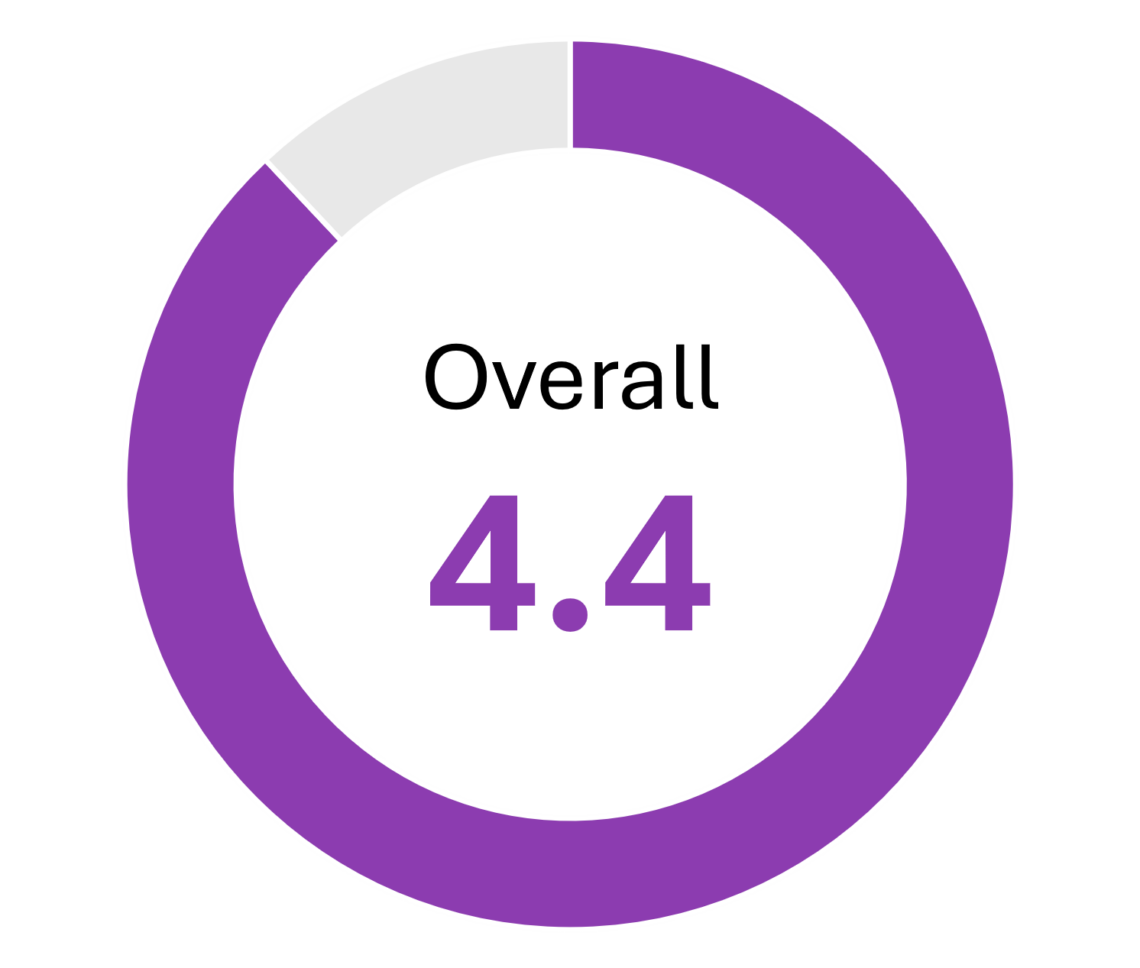 Overall score of the Nintex BPM solution