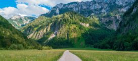 Why Every Company Needs an Incident Management System