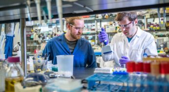 5 Wege zur Steigerung der Produktivität von Wissensarbeitern